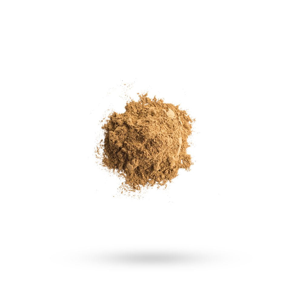 Spice Dream Loose Leaf Tea